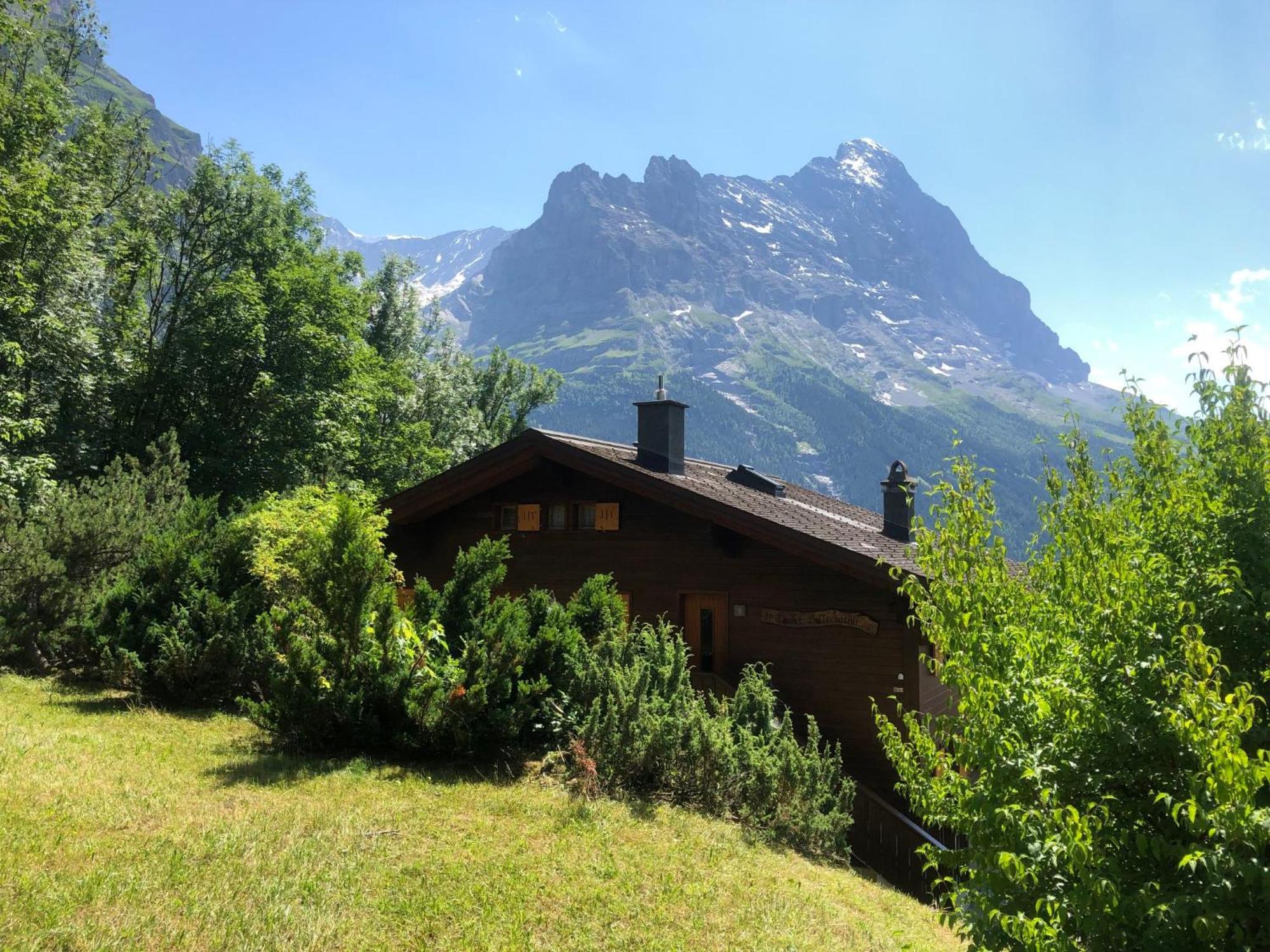 Apartment Chalet Sunneblick By Interhome Grindelwald Exteriér fotografie